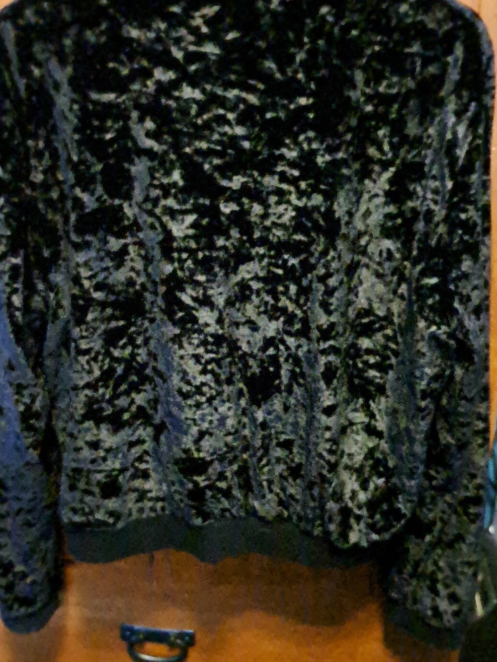 🔥SPECIAL ITEM! Cloud Chaser Velvet Jacket - Picture 3 of 11